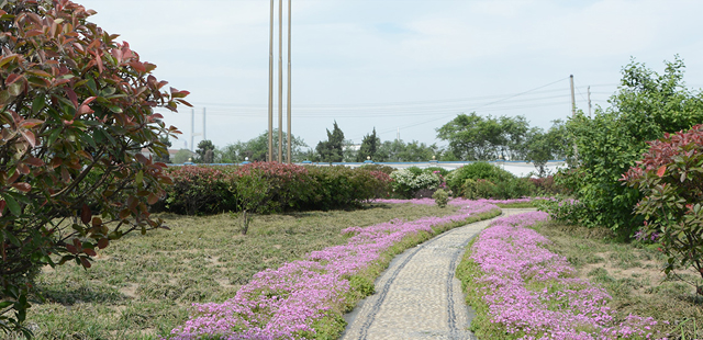 Changzhou Mingsheng Biotechnology Co., Ltd. 